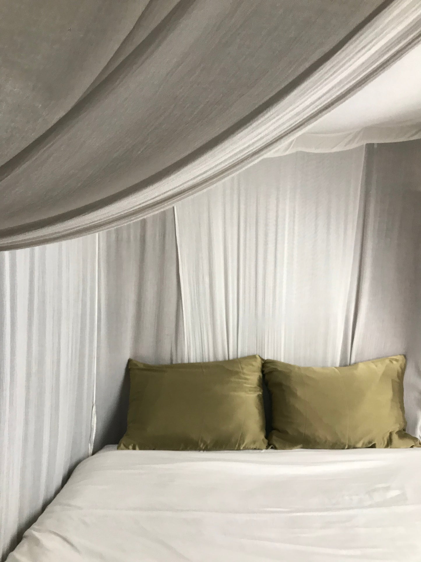 Silk Pillowcase Absinthe