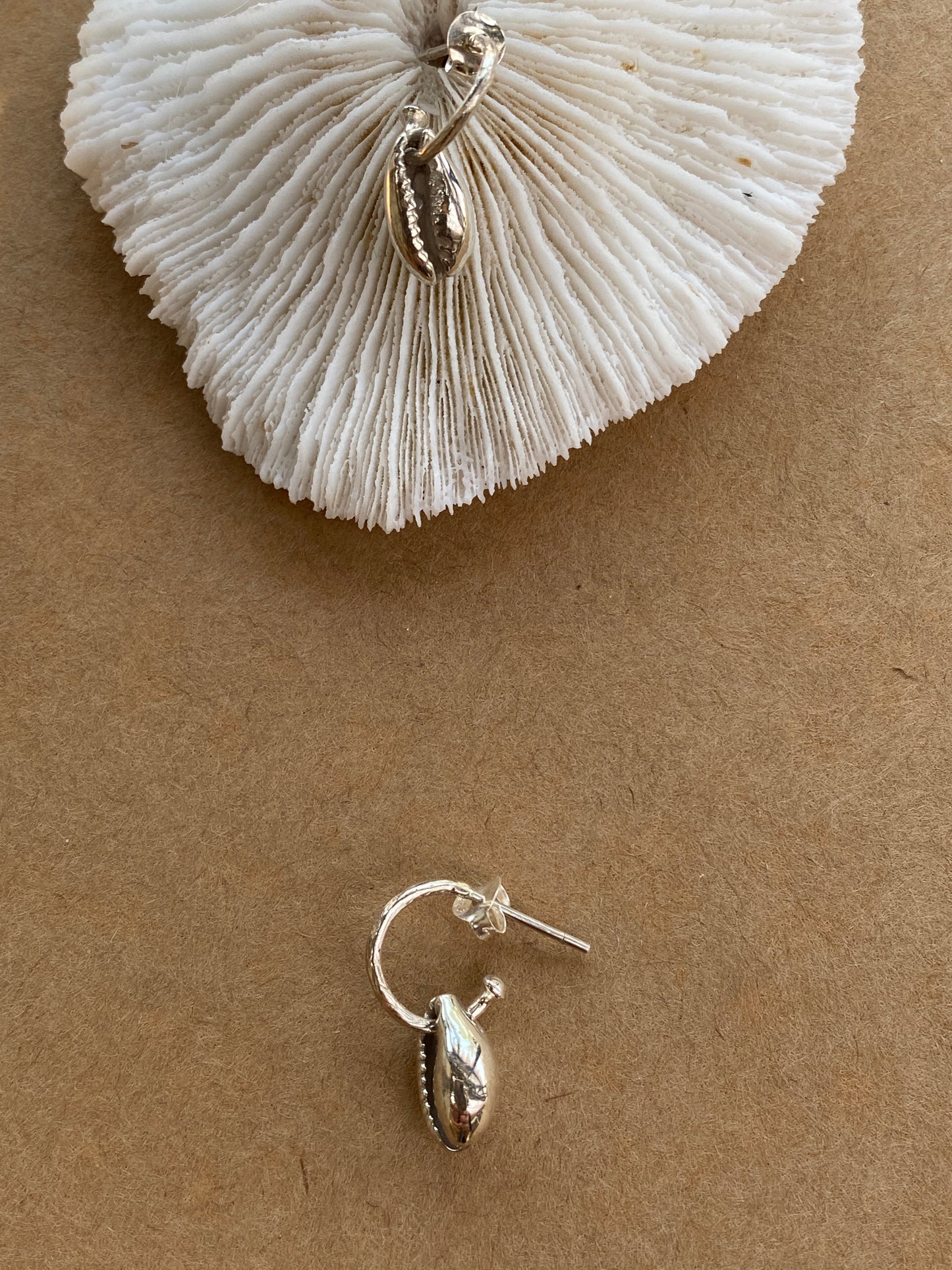 Bali Cori Shell earrings loops in Silver