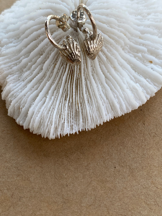 Bali Shell Earrings Loops in Silver